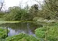Pond on the east side of the moated site