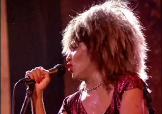 Tina Turner on the Private Dancer Tour