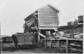 Tipping coal into hopper wagons at Waro, 1911