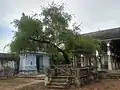 Tirumana mandapa