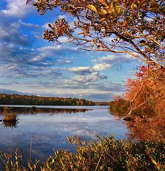 Lake