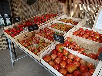 Modern varieties in France