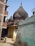 Side view of encroached tomb site