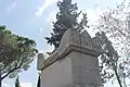 Side view.