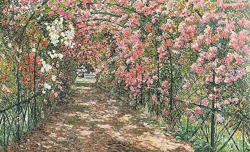 Rose arbour