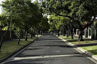 Tree-lined street typical of the area.
