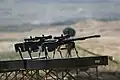 Three Tors 12.7&nbsp;mm in a shooting range