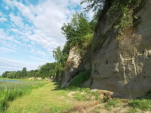 Sandstone outcrop