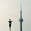 A lamppost (foreground) and Toronto's CN Tower (in distance)