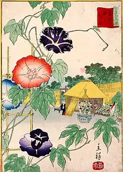 Morning Glories in Iriya, Eastern Capital from Thirty-six Selected Flower Scenes, 1866