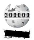 300 ,000 articles on the Turkish Wikipedia (2017)