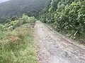 Track up Mount Fyffe