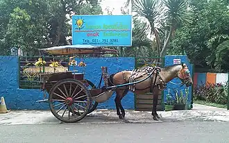 Delman in Jakarta