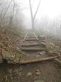 Part of the hiking trail to Dark Hollow Falls