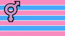 The transgender pride flag designed in 1999 by Johnathan Andrew