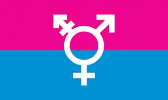 Michelle Lindsay's "Trans Flag" design