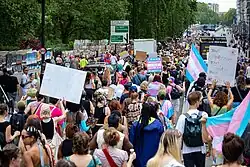 large group of protestors with signs, many holding the trans pride flag