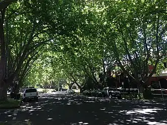 Mary Street, St Kilda West
