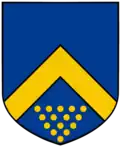 Trewern Family Shield - Azure field with OR chevron and fifteen Or bezant beneath it