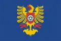 Flag of Třinec
