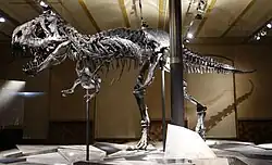 Tristan the T. rex