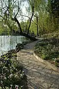 A pathway in the campus