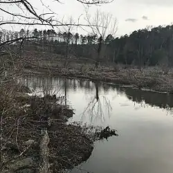 Tuckahoe Creek, which forms the western border of Tuckahoe