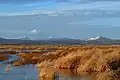 Tule Lake lower marsh