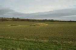 Bowl barrow 250&nbsp;m south east of Tyning's Farm: part of the Tyning's Farm round barrow cemetery