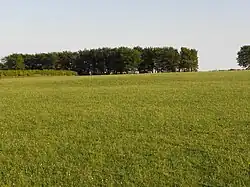 Bowl barrow 700 m north east of Burrow Farm