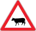 Be carefull for cattle