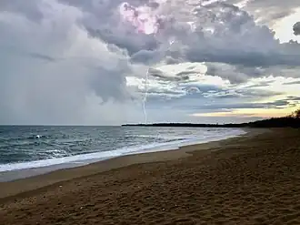Mon Repos Beach, 2020
