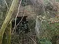 Ruin of a still fully intact basement