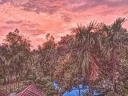 Twilight in Taraganj