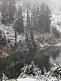 Lower twin