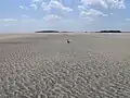 The south tip of Tybee Island at low tide