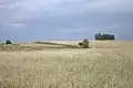 Surrounding countryside