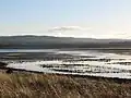 Tyne estuary