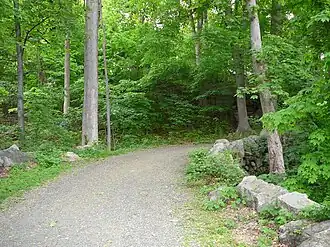 A typical carriage road