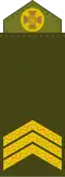 Сержант Serzhant (Ukrainian Ground Forces)[116]