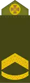 Штаб-сержант Shtab-serzhant (Ukrainian Ground Forces)[53]