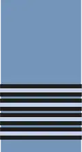 An RAF group captain's sleeve/shoulder insignia