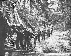 Image 72U.S troops landing in Tanahmerah Bay during Operation Reckless, 1944 (from Western New Guinea)