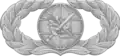 Foreign Area Officer Badge[12]