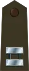 U.S. Army (dress)