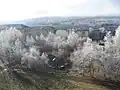 The Kindergarten "Daisy", Uchaly. November 6, 2014.