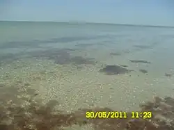 The shallow waters near Nyzhnohirskyy