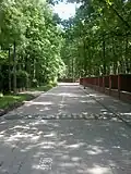 Białej Brzozy Street