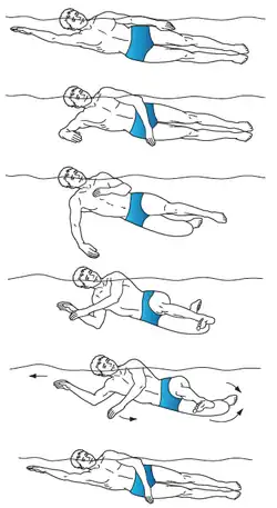 Cartoon of steps in one side stroke cycle