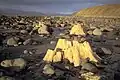 A plain strewn with large boulders and small puddles of water, with large hills in the background